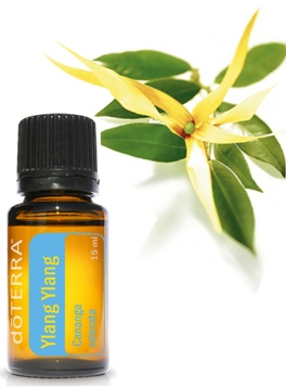 ylang ylang